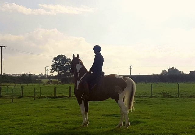  Area all'aperto dell'Appin Equestrian Center