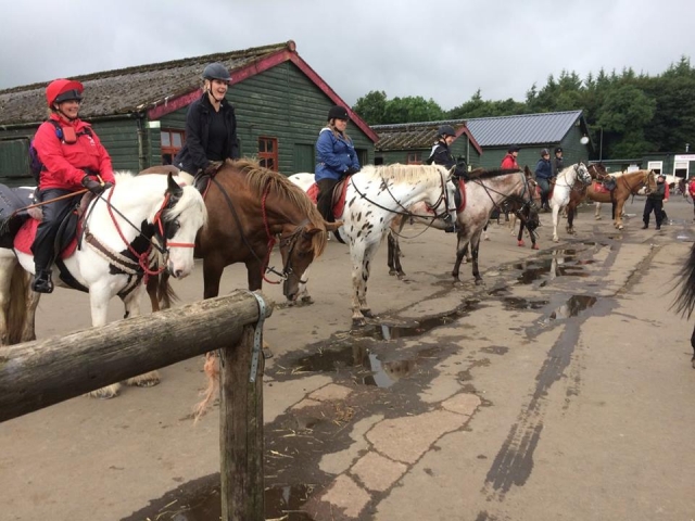 have a go with Scottish Equestrian Hotel !