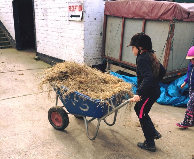 The Pony Club at Faughanvale Stables 