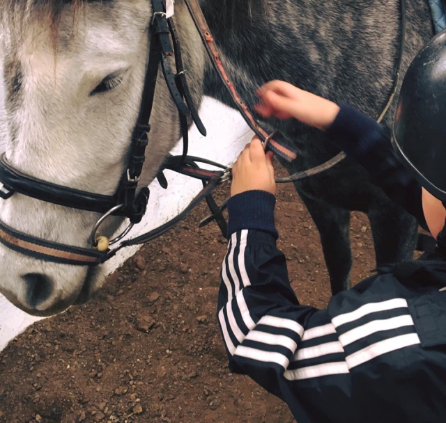 The Pony Club at Faughanvale Stables 
