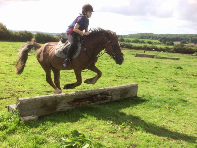 Showjumping for Beginners! 