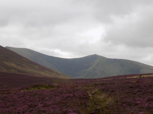  ¡Visite Snowdonia Riding Stables! 