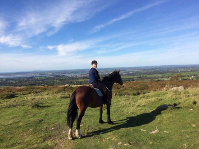  Abierto de trekking con Snowdonia Riding Stables 