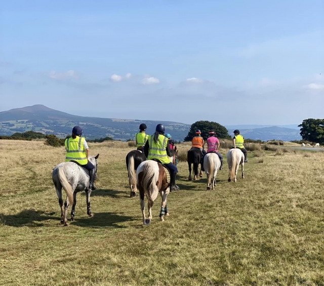  Cabriminación de caballos en Powys 