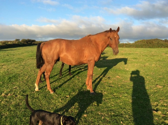 Some of them are up to sale too!