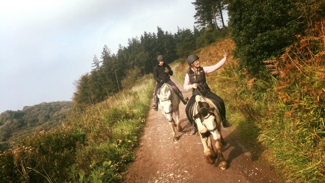 使用 Tynings 打开徒步旅行。