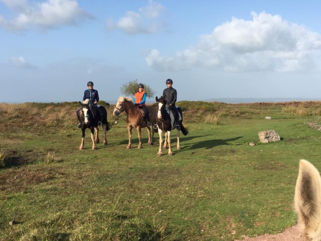 泰宁斯团体徒步旅行
