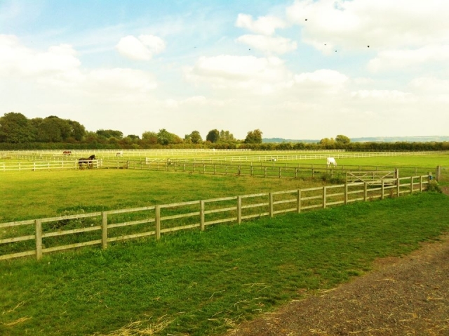 Have a nice horse ride throught our vast spaces.