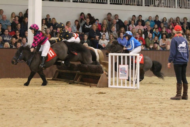 Showjumping! 