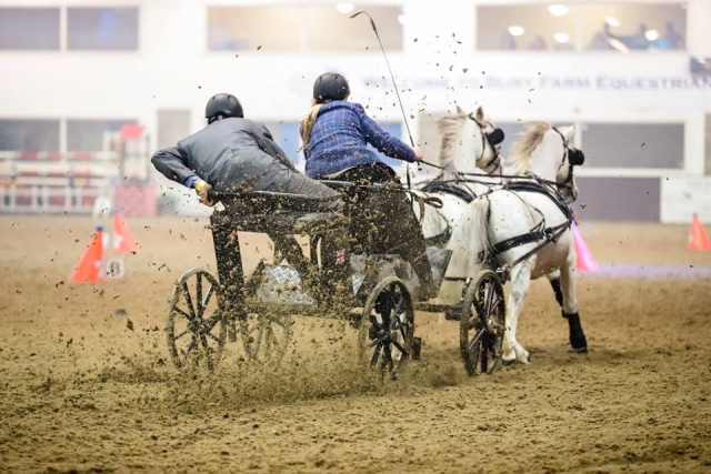 Top level competitons at Bury Farm Equestrian Centre