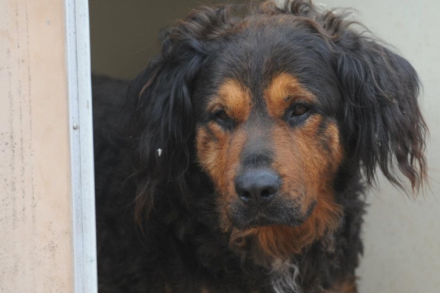 Come and meet Scampie! 