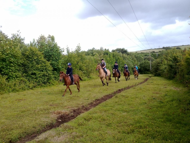  ¡Estarás acompañado por los mejores instructores!  