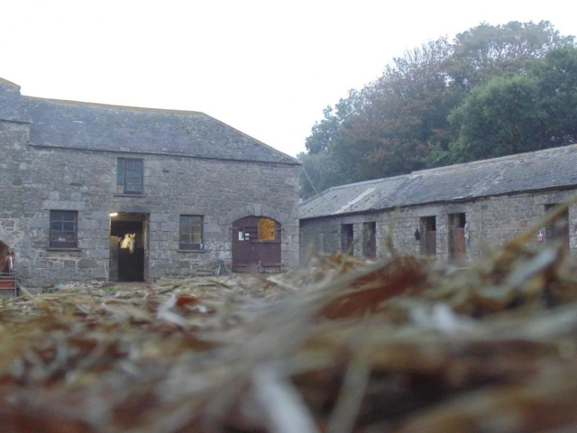  Ofrecemos un área de instalaciones de Vaast.  