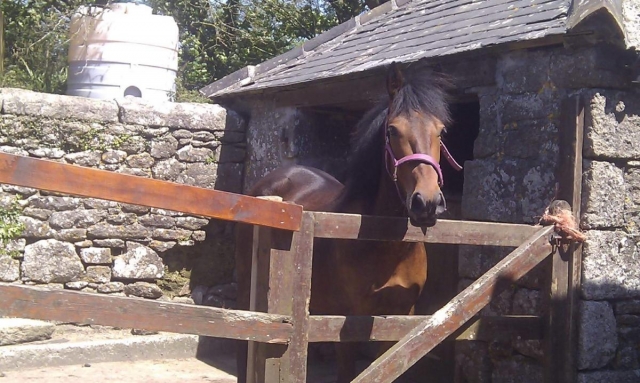  ¡Conoce a los lugareños!  
