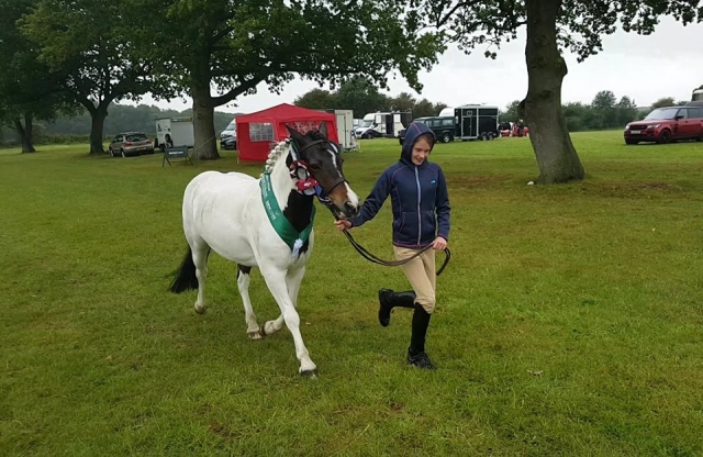  Hacking al aire libre. 
