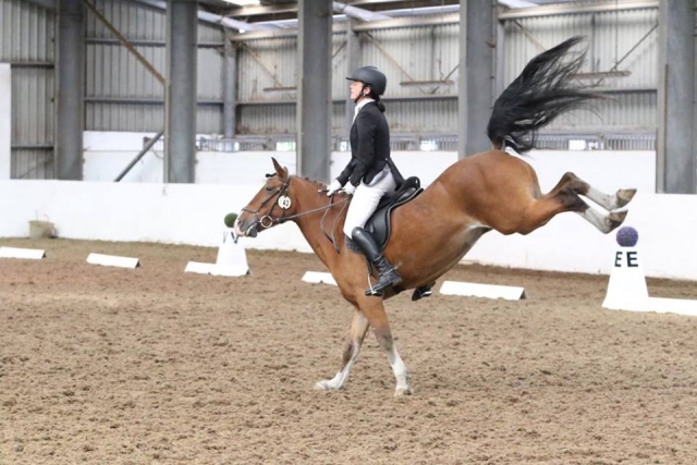  Dressage au centre équestre de Quob Stables 