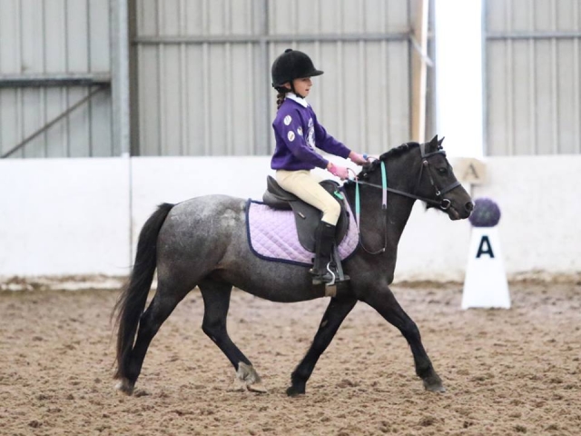  Hacking au centre équestre de Quob Stables 