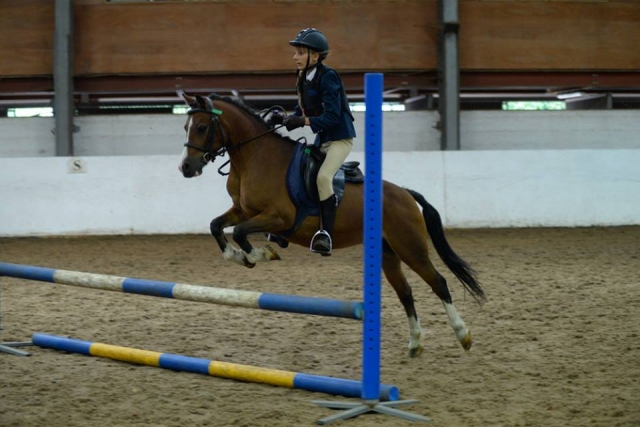  Saut d'obstacles au centre équestre de Quob Stables 