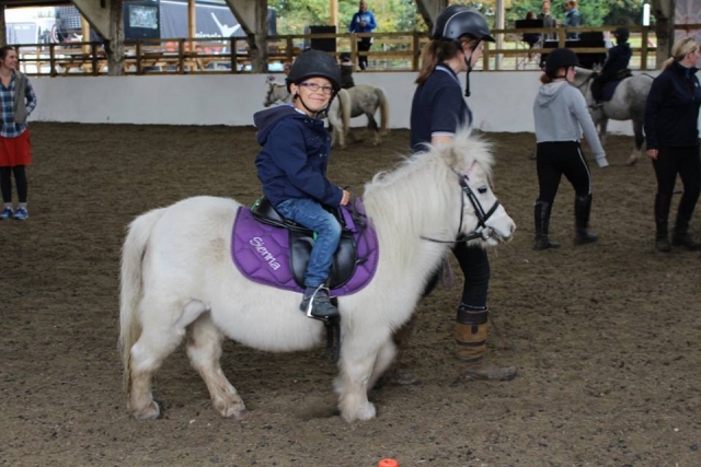  Le poney club au centre équestre de Quob Stables
