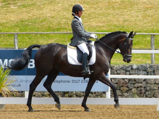 Professinal Horse riding! 