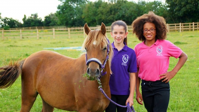 Hartwell Riding Stables