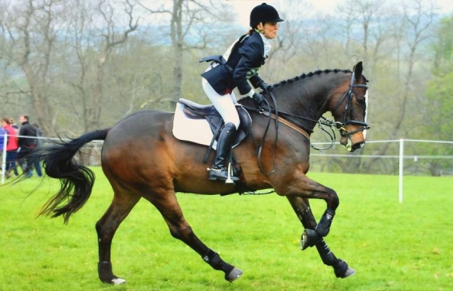  Horse Hacking 