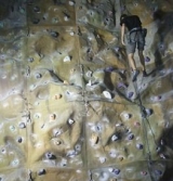  Tenemos una variedad de paredes creativas de escalada 