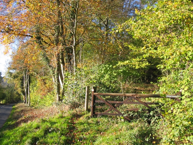  Glyndwr's Way 步行小径 