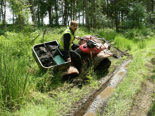 您必须对四人组保持耐心