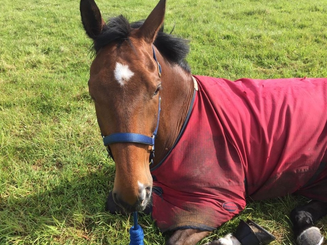 Meet us all at Aberdeen Riding Club!