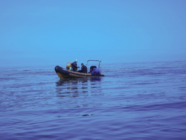Out on the water