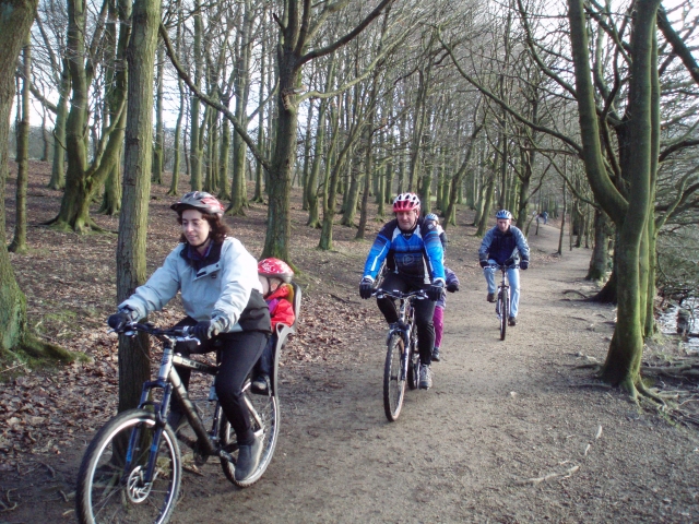  享受穿越森林的乐趣 