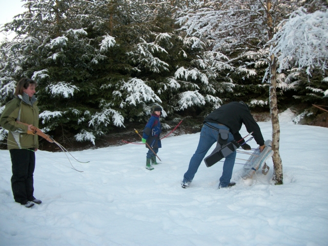 Tous les temps dans les bois 