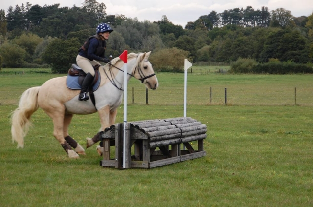 Showjumping in Valleyfarm