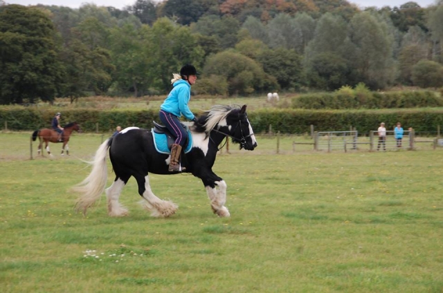 Hacking with Valleyfarm