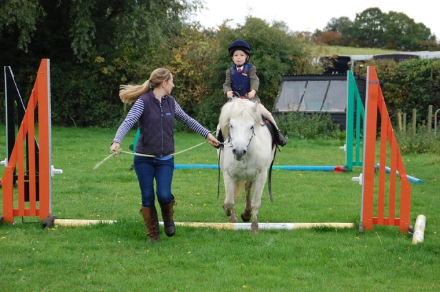 Showjumping in Valleyfarm