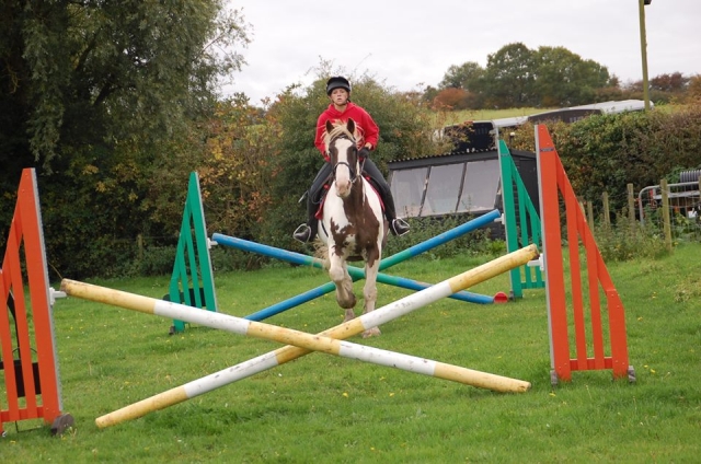 Showjumping in Valleyfarm