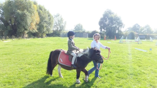 Lessons for beginners in Valleyfarm