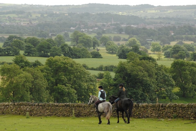  Hacken mit Fairboroughs Horse Riding Holidays 