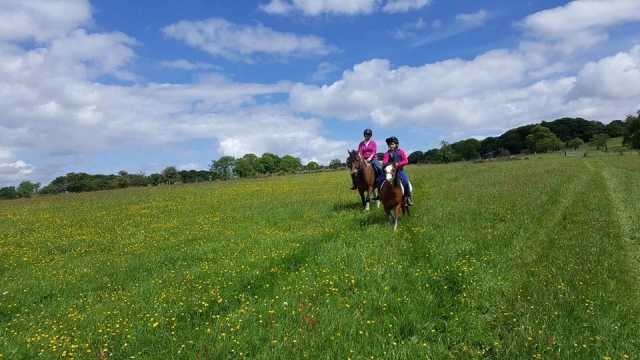  Hacken mit Fairboroughs Horse Riding Holidays 