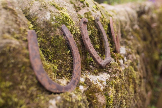  Genießen Sie die Landschaft von Fairboroughs Horse Riding Holidays