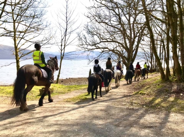  caballos y jinetes que tienen un buen paseo por el lago 