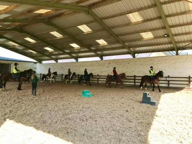  personas que se divierten con el caballo divirtiéndose mientras aprenden a montar 