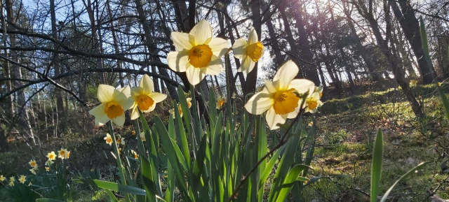 Naturaleza en abundancia