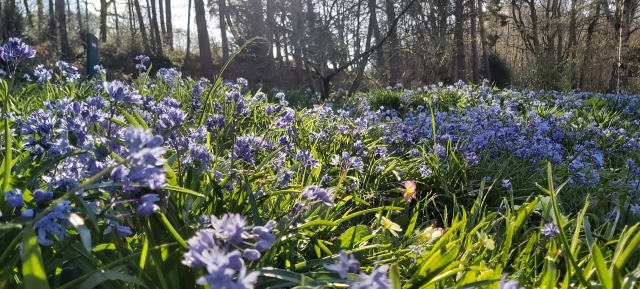 Spring Climb
