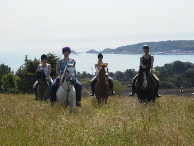 Hacking con Clyne Farm Center Horse Riding 