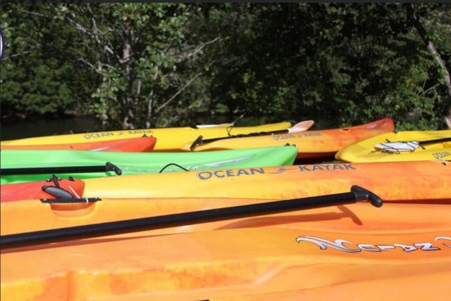  Unsere Paddle Boards 