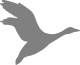 Grey Goose Archery