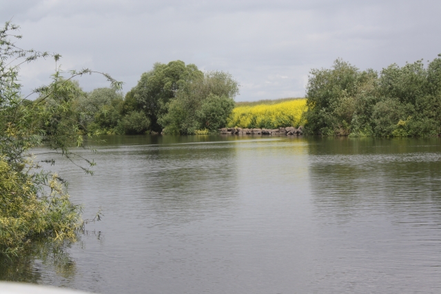 The Mighty River Severn