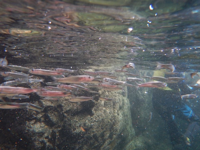 Meet the locals whilst having fun! 